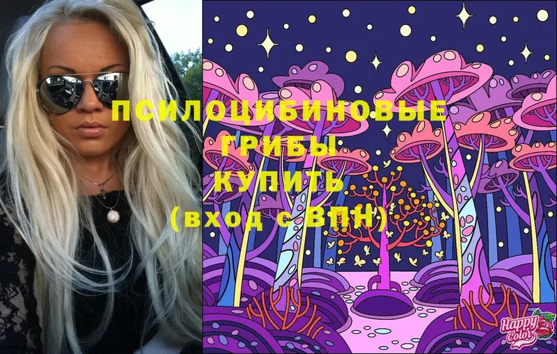 сколько стоит  Зима  Галлюциногенные грибы Cubensis 